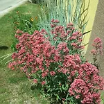Apartman In - Balaton 20047